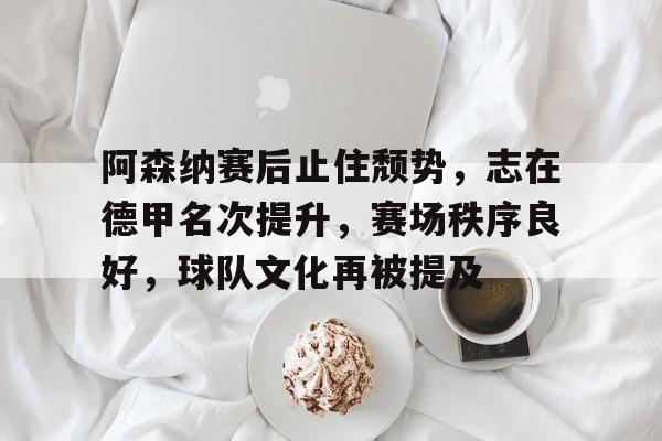 包含阿森纳赛后止住颓势，志在德甲名次提升，赛场秩序良好，球队文化再被提及的词条-爱游戏app